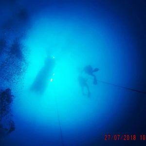 reef-dive