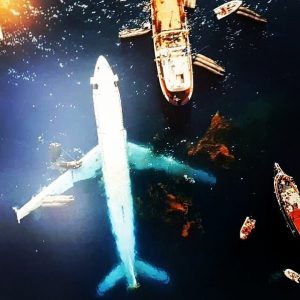 kuşadasıbatık3
