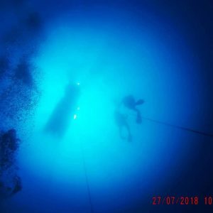 reef-dive-en