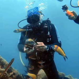 Discover-Dive-en