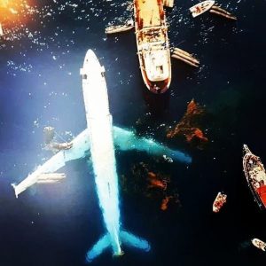 kuşadasıbatık3-EN3