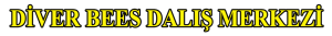 D-TURKÇE