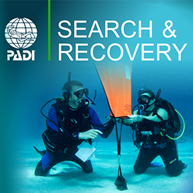 search-and-recovery