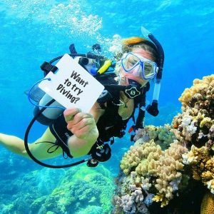 try-dive-en