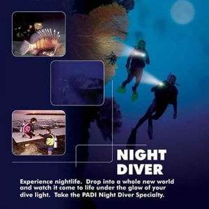 padi-night-diver