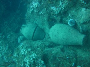 IMG_3246  