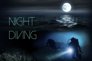 night_dive-TR5