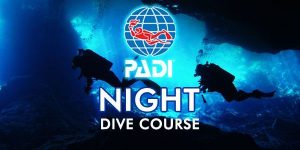 padi-night-dive-course