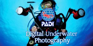 padi-digital-underwater-photography