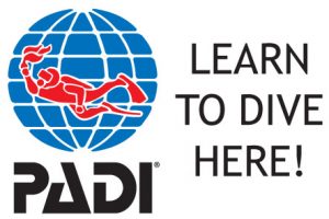 Padi-courses