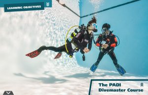 Dive_Course_Dalış_Kuşadası_Türkiye