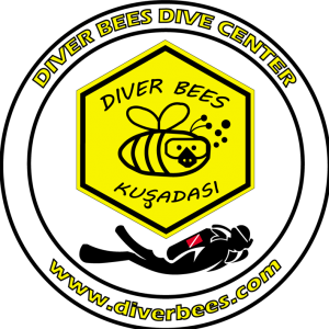 Diver_Bees_Logo