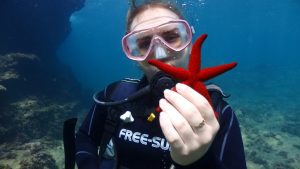 trydive_denemedalışı