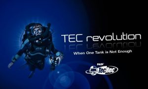 TEC_ELEARNING